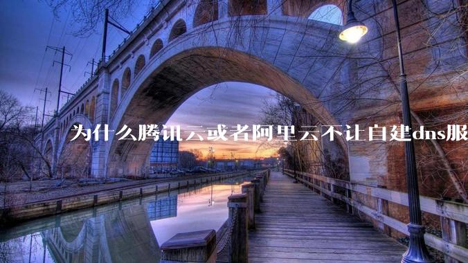 为什么腾讯云或者阿里云不让自建dns服务器?