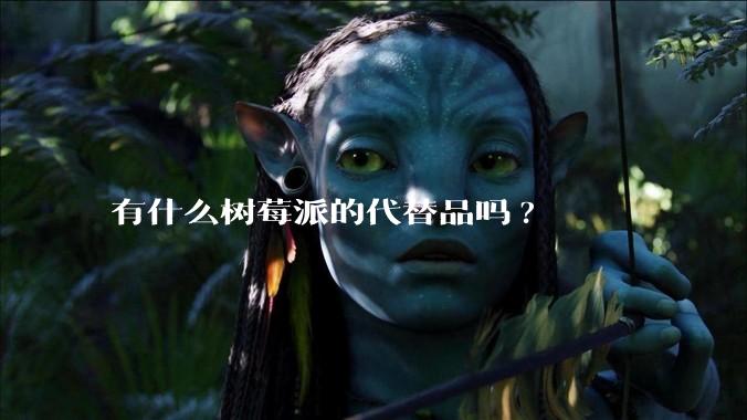 有什么树莓派的代替品吗?